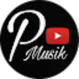 Review From Pro Musik