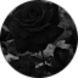 Review From Brenda Gracia