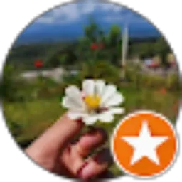 Review From Barli Ahn