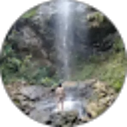 Review From Mister_ Z