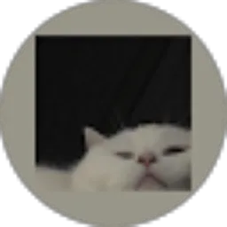 Review From Andrean Rahmadan Putra