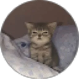 Review From kusnul ddm024