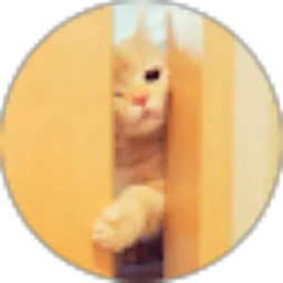 Review From ocky adrianto