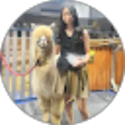 Review From Laura Alexandra