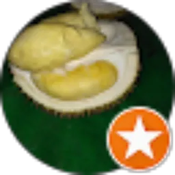 Review From Gilang Faiz M