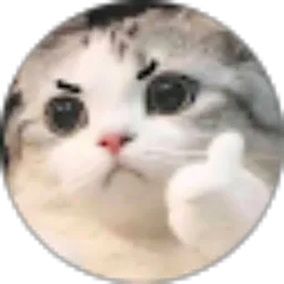 Review From Kenny Roberts