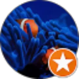 Review From Bang Roji