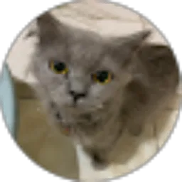 Review From Rahayu Ritna