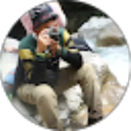 Review From Antony Heryanto