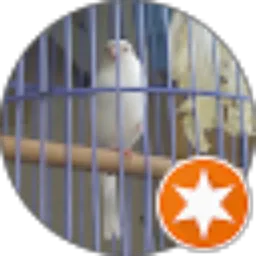 Review From david ferdinand