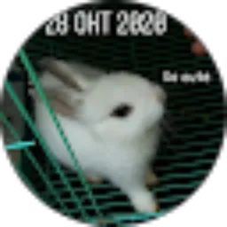 Review From HEWAN CHANNEL