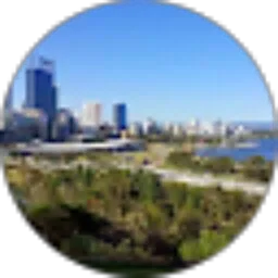 Review From Peter Lie