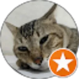 Review From enggar wahyu