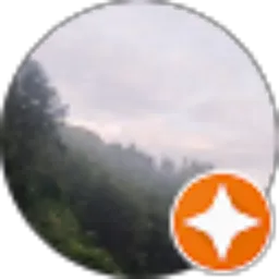 Review From bilal haidar