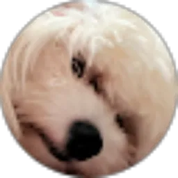 Review From Kibo Kimchi