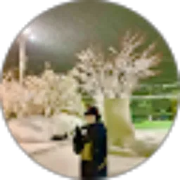 Review From Ryan nihonggo