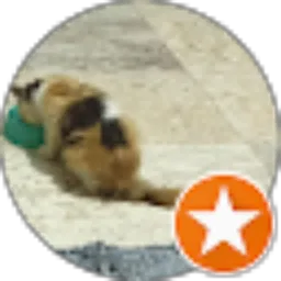 Review From ova indriana