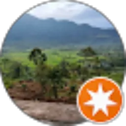 Review From Moreno Santo