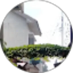 Review From A. Ainun Wulandari