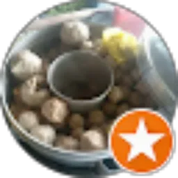 Review From Septo Raharjo