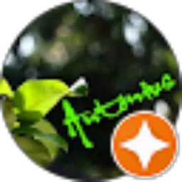 Review From Antonius Hargo