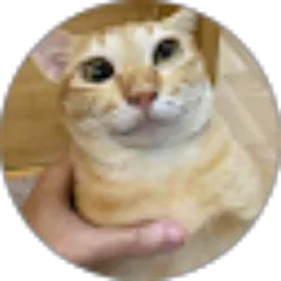 Review From Dimas Pratama