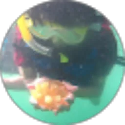 Review From Nur Achiriani