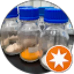 Review From Hermanto