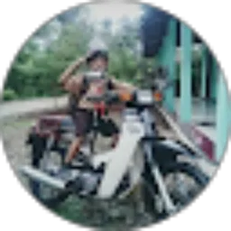 Review From Wahyu Wardaya