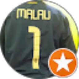 Review From Varol Malau