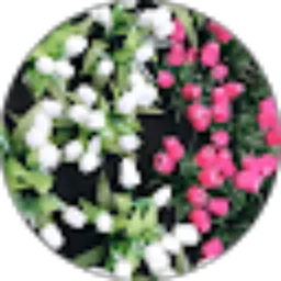 Review From Dean Andara