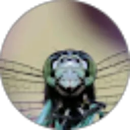 Review From Alwi Saputra