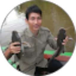 Review From Suhermanto