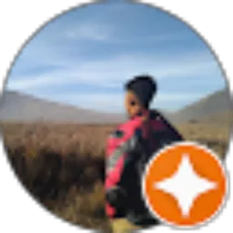 Review From Ridlo Prayoga