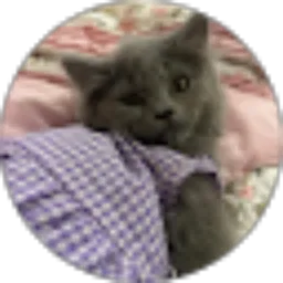 Review From Hesty Hesya