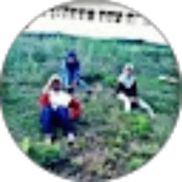 Review From septiana nur