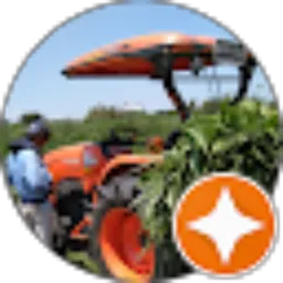 Review From samsu sain