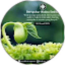 Review From Muchlis Nugroho