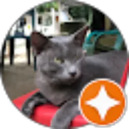 Review From Andi incek