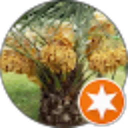 Review From Cak Idris