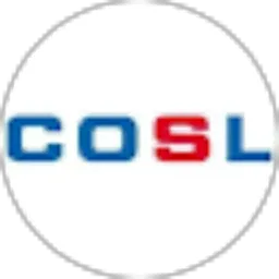 Review From Rudi Lie