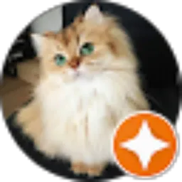 Review From hfshslsbila