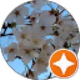 Review From Jia Ling