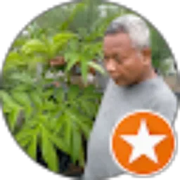 Review From Wayan Artana