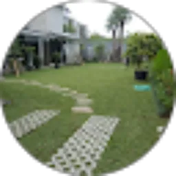 Review From madani garden