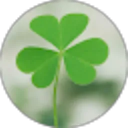 Review From Yuuki Clover