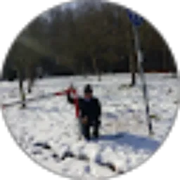 Review From Kevin Andika Lukita