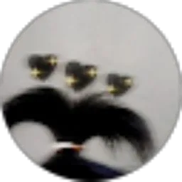 Review From Faiza Hafira