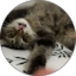 Review From Cheria Cahyaningtyas