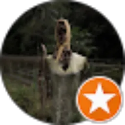 Review From Deby Sugiri